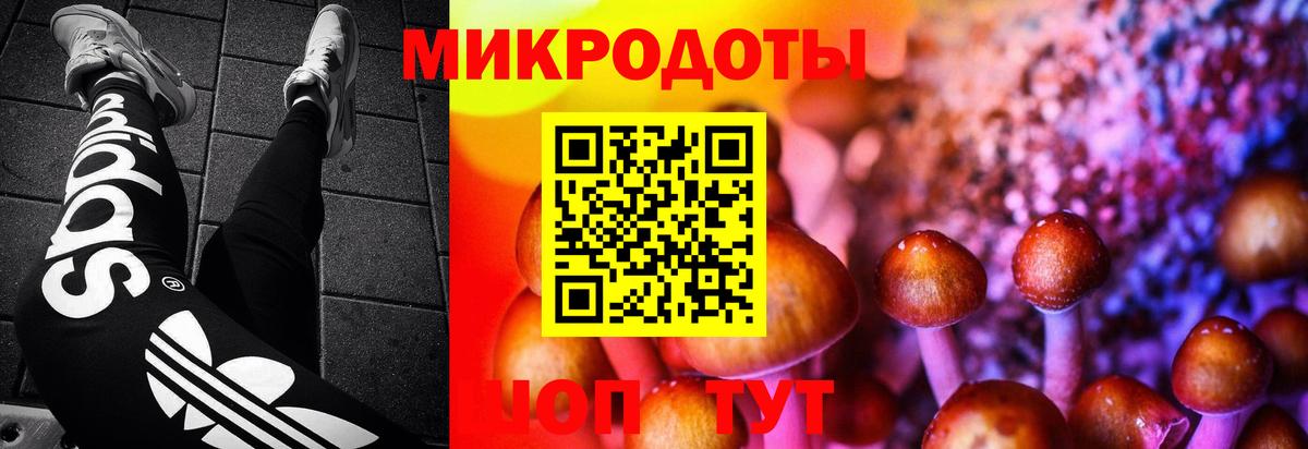 Мценск  Псилоцибиновые грибы прущие грибы  Галлюциногенные грибы MAGIC MUSHROOMS  купить наркоту  Вход с VPN 